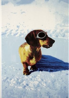 Fritz